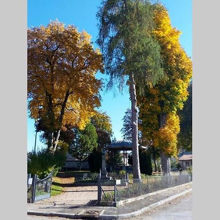 Maison Independ. 6 Personnes A 10 Mn De Gerardmer Granges-sur-Vologne Екстер'єр фото