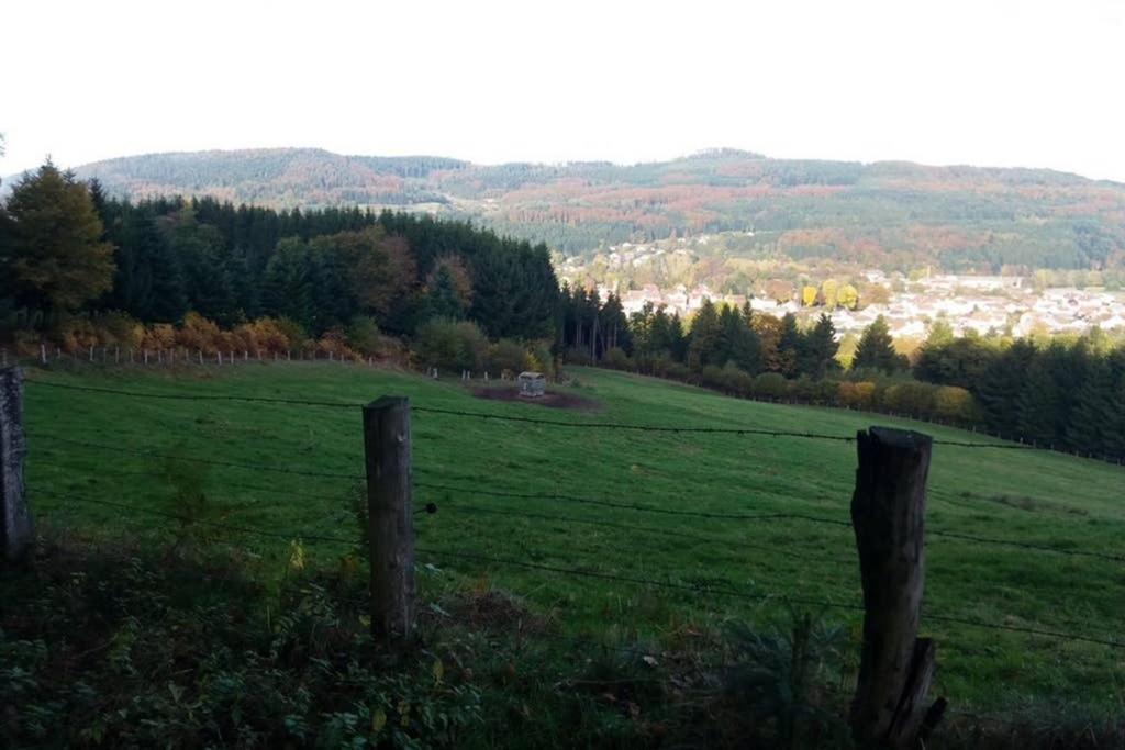 Maison Independ. 6 Personnes A 10 Mn De Gerardmer Granges-sur-Vologne Екстер'єр фото