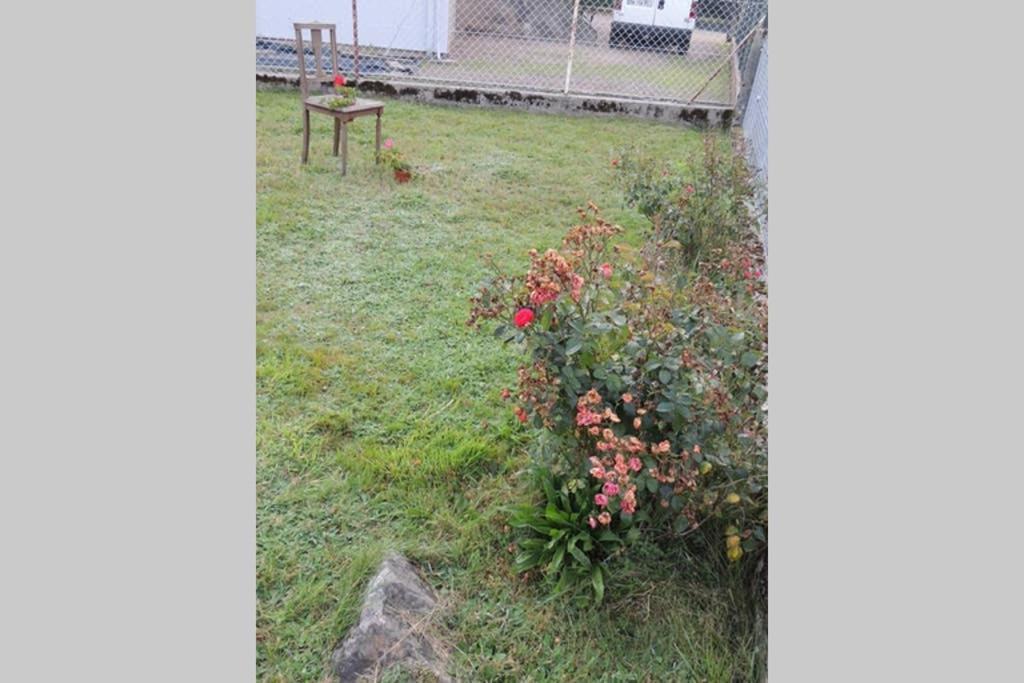 Maison Independ. 6 Personnes A 10 Mn De Gerardmer Granges-sur-Vologne Екстер'єр фото